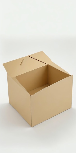 foto testimoniale del design semplice della scatola