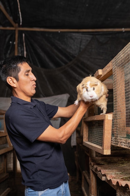 Foto verticale di un agricoltore che estrae una cavia da una gabbia