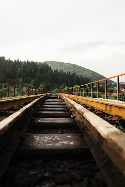 Foto verticale di un ponte ferroviario sullo sfondo di un paesaggio di montagna con una foresta di conifere