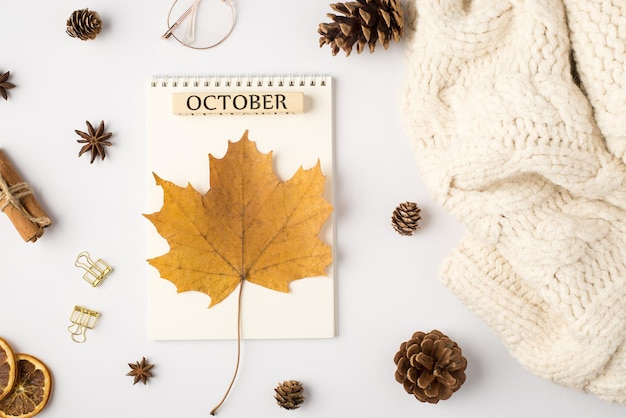 Foto vista dall'alto di maglione bianco foglia d'acero autunno giallo sul pianificatore con iscrizione pigne di ottobre fette di limone essiccate bastoncini di cannella fermagli per raccoglitori dorati e bicchieri su sfondo bianco isolato