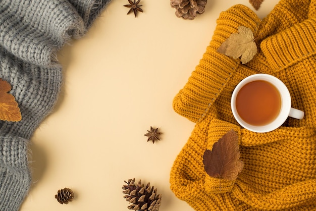 Foto vista dall'alto di maglione giallo sciarpa grigia tazza di tè autunno foglie marroni anice e pigne su sfondo beige pastello isolato con copyspace