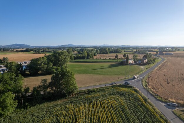 Fotografia aerea di un campo di girasoli maturo in fiore in estate prima del tramonto dal drone pov