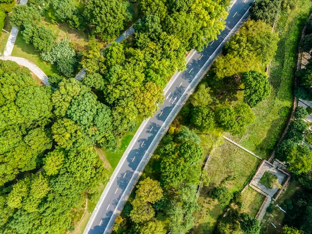 Fotografia aerea strada forestale all'aperto