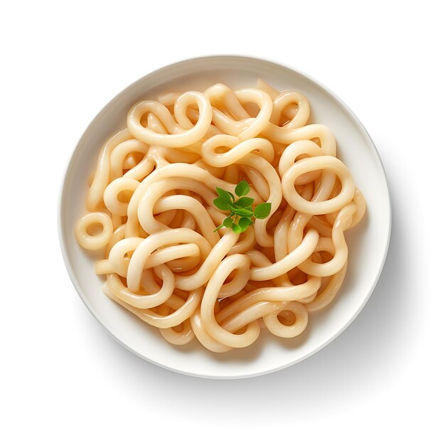 Fotografia alimentare di Udon sulla ciotola marrone isolata su sfondo bianco