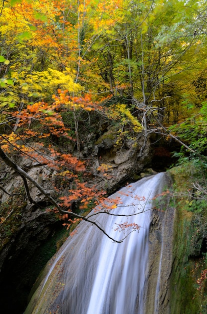 Fotografia autunnale di una cascata nella Riserva Naturale del Fiume Urederra. Navarra. Spagna