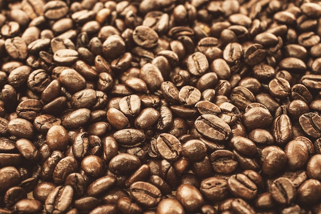 Fotografia completa dei chicchi di caffè