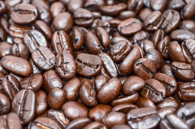 Fotografia completa dei chicchi di caffè