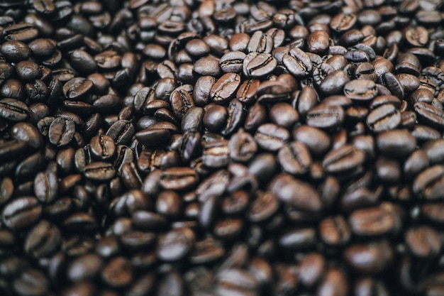 Fotografia completa dei chicchi di caffè