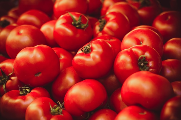 Fotografia completa dei pomodori
