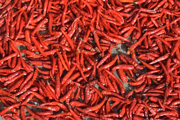 Fotografia completa del peperoncino rosso sul pavimento