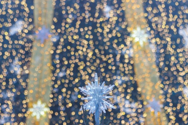 Fotografia completa dell'albero di Natale illuminato e sfocato di notte