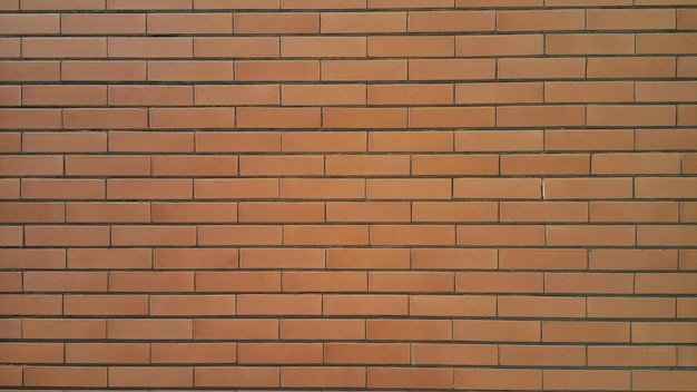 Fotografia completa della parete a disegno
