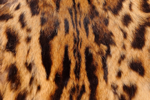 Fotografia completa della pelle di leopardo
