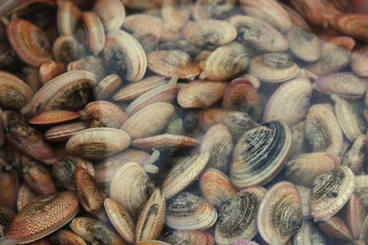 Foto fotografia completa di cipolle per la vendita al mercato