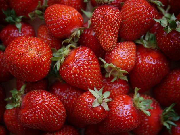 Fotografia completa di fragole fresche