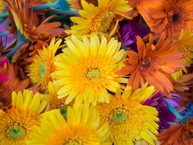 Fotografia completa di margherite di gerbera in vendita al mercato