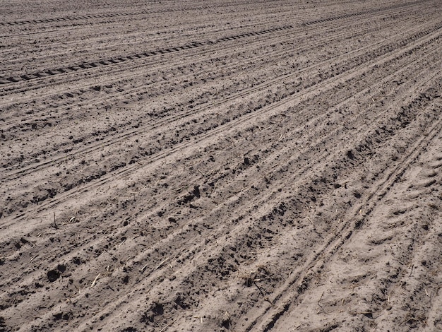 Fotografia completa di un campo agricolo
