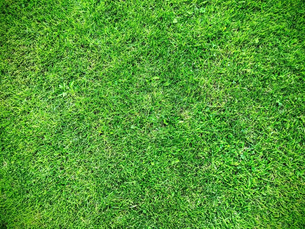 Fotografia completa di un campo da calcio