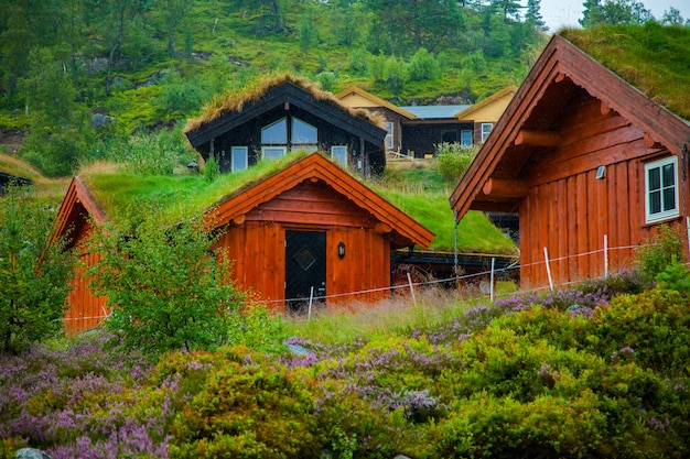 fotografia con paesaggi e natura in norvegia