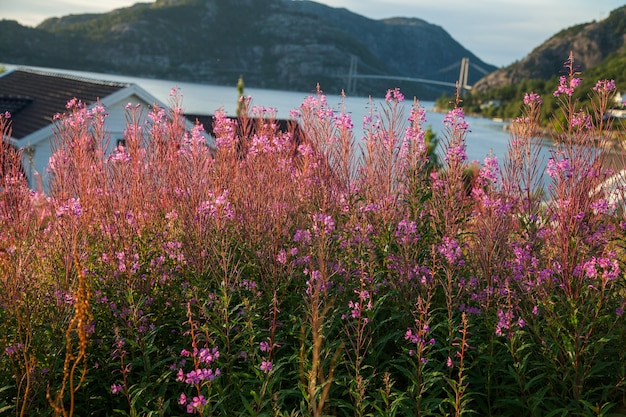 fotografia con paesaggi e natura in norvegia