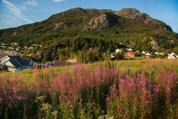 fotografia con paesaggi e natura in norvegia