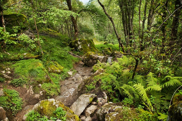 fotografia con paesaggi e natura in norvegia