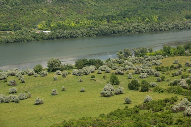 Fotografia con una natura meravigliosa dalla Moldavia in estate