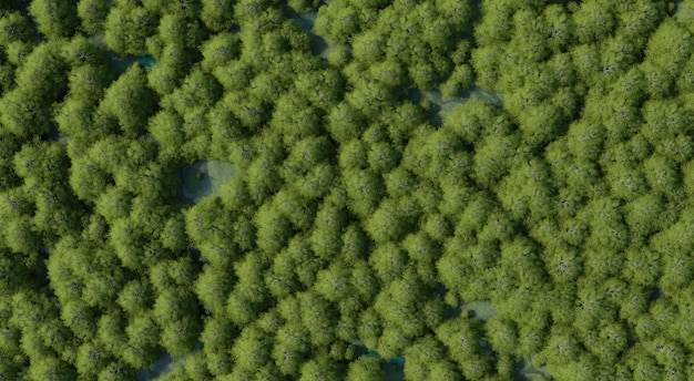 Fotografia dall'alto di una foresta piena di alberi verdi sparsi in tutta l'area che ne dimostrano la ricchezza e l'abbondanzarendering 3d