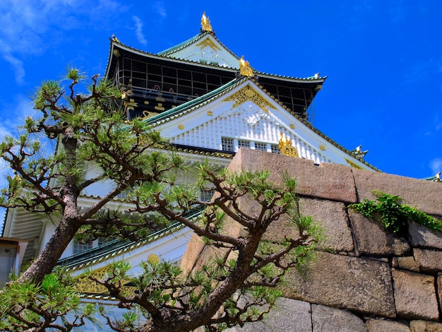 Fotografia del castello di osaka a osaka in Giappone