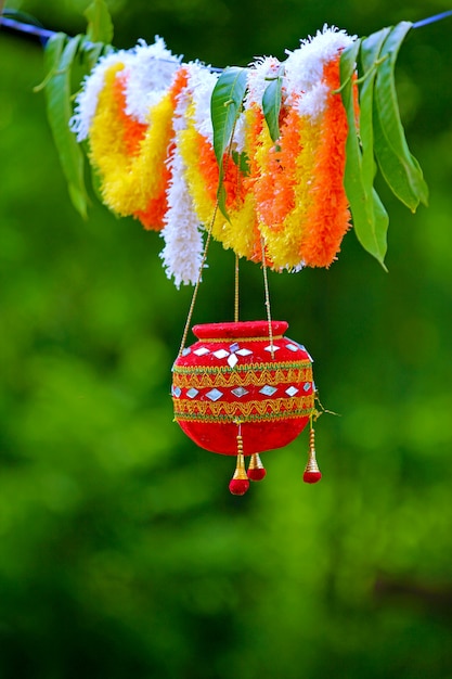 fotografia del festival di Dahi Handi in India