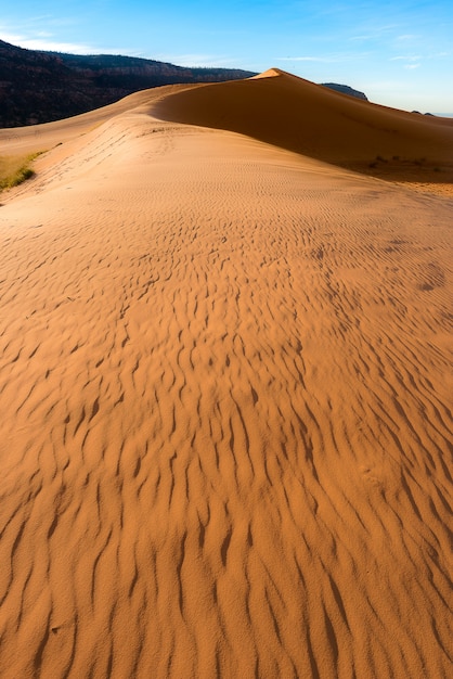 Fotografia del paesaggio del deserto in Arizona