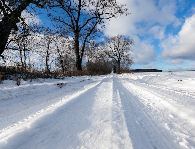 Fotografia del primo piano della neve sulla strada. Cielo blu e alberi senza foglie nella stagione invernale