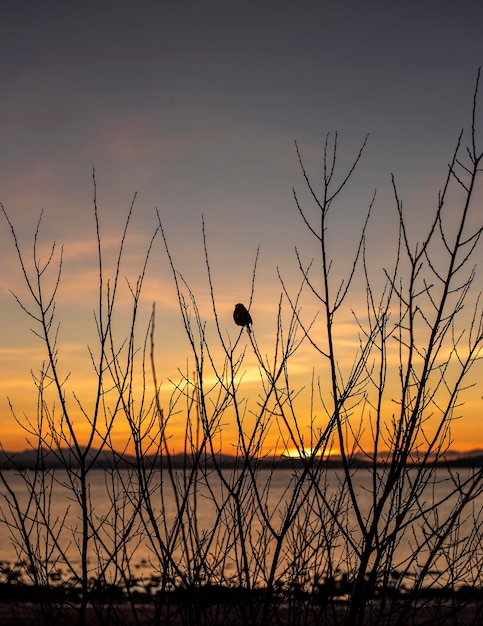 Fotografia del tramonto