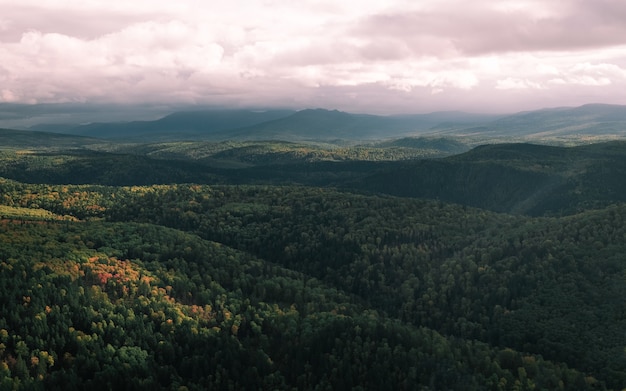 Fotografia della verde vallata e delle montagne