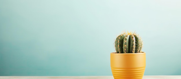 Fotografia di cactus in studio in interni con messa a fuoco selettiva, spazio testo, parco e tema giardino