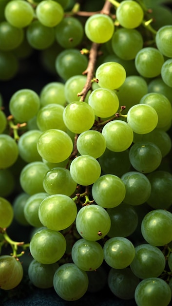 Fotografia di prodotti frutticoli con uva verde