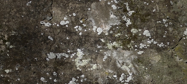 fotografia di struttura del muro di pietra