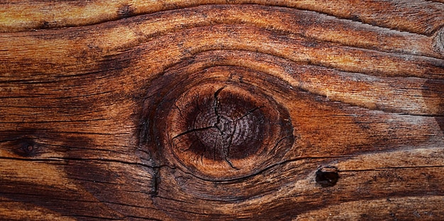 fotografia di una bella superficie in legno