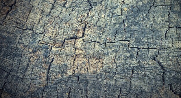 fotografia di una bella superficie in legno