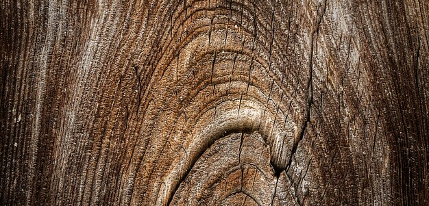 fotografia di una bella superficie in legno