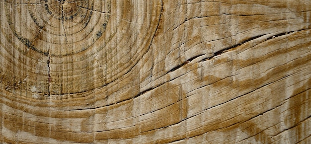 fotografia di una vecchia superficie in legno