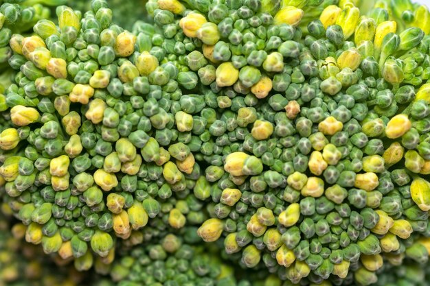 Fotografia macro di broccoli Struttura vegetale