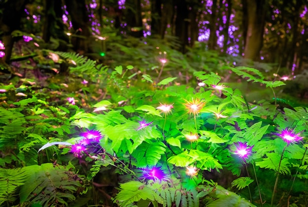Fotografia Primo piano Foresta magica con piante vibranti e luminose