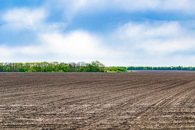 Fotografia sul tema grande campo agricolo vuoto per il raccolto biologico