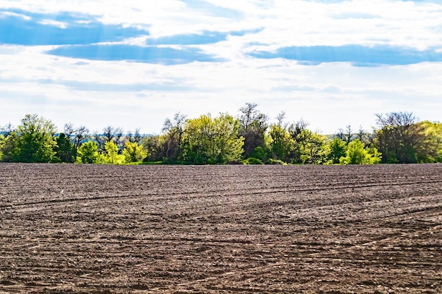 Fotografia sul tema grande campo agricolo vuoto per il raccolto biologico