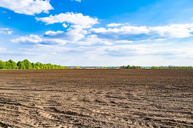 Fotografia sul tema grande campo agricolo vuoto per il raccolto biologico