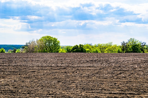 Fotografia sul tema grande campo agricolo vuoto per il raccolto biologico