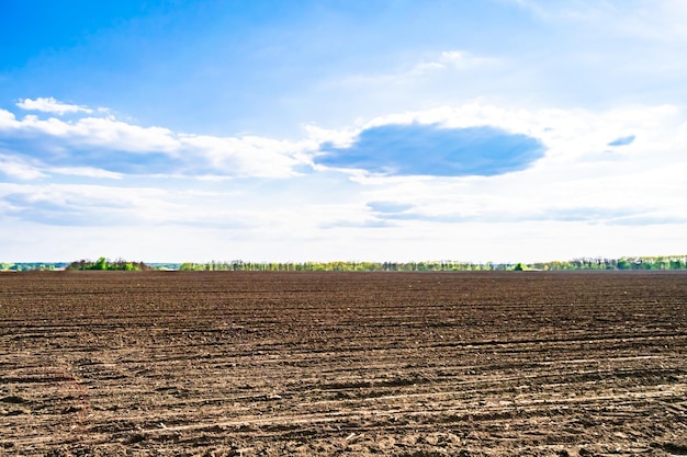 Fotografia sul tema grande campo agricolo vuoto per il raccolto biologico