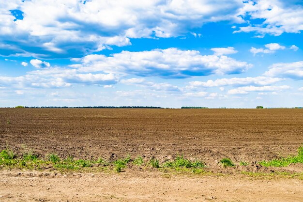 Fotografia sul tema grande campo agricolo vuoto per il raccolto biologico