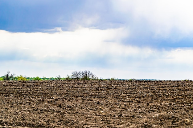 Fotografia sul tema grande campo agricolo vuoto per il raccolto biologico